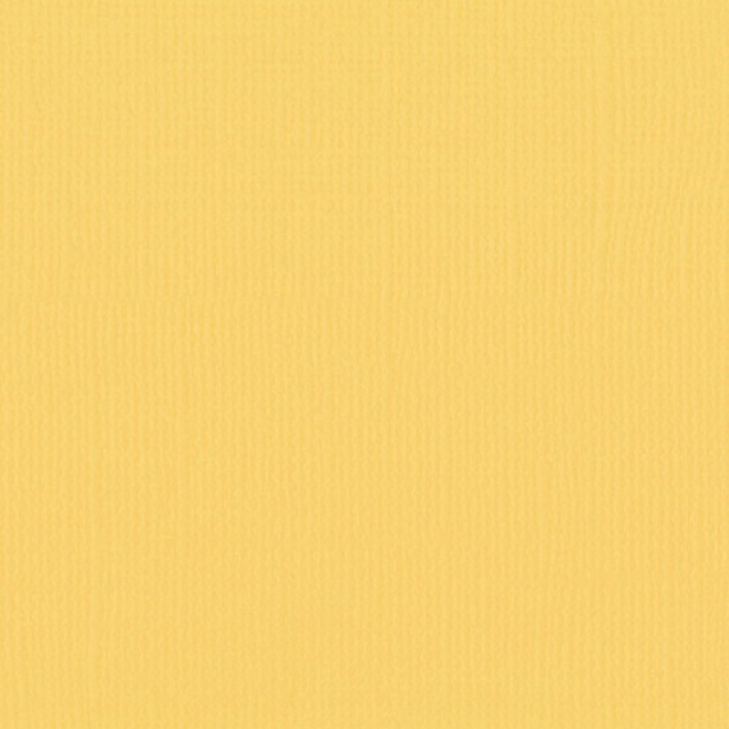 Florence  Cardstock texture 30,5x30,5cm Honey (2928-006)