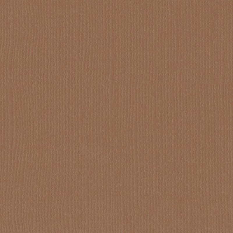 Florence  Cardstock texture 30,5x30,5cm Lion (2928-089)