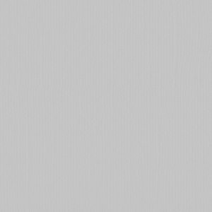 Florence  Cardstock texture 30,5x30,5cm Mouse (2928-083)