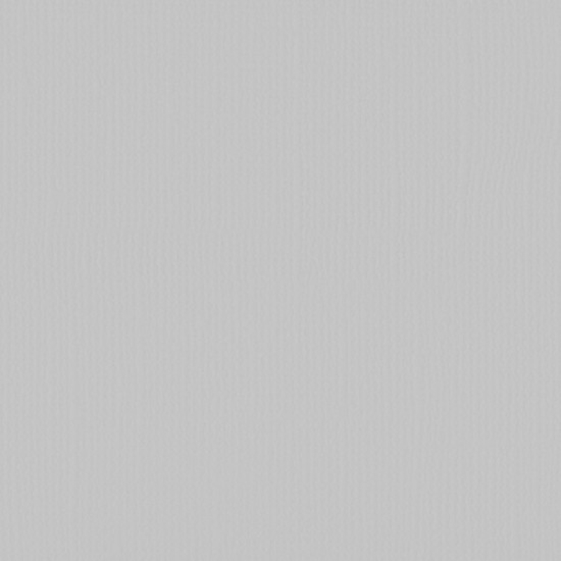 Florence  Cardstock texture 30,5x30,5cm Mouse (2928-083)