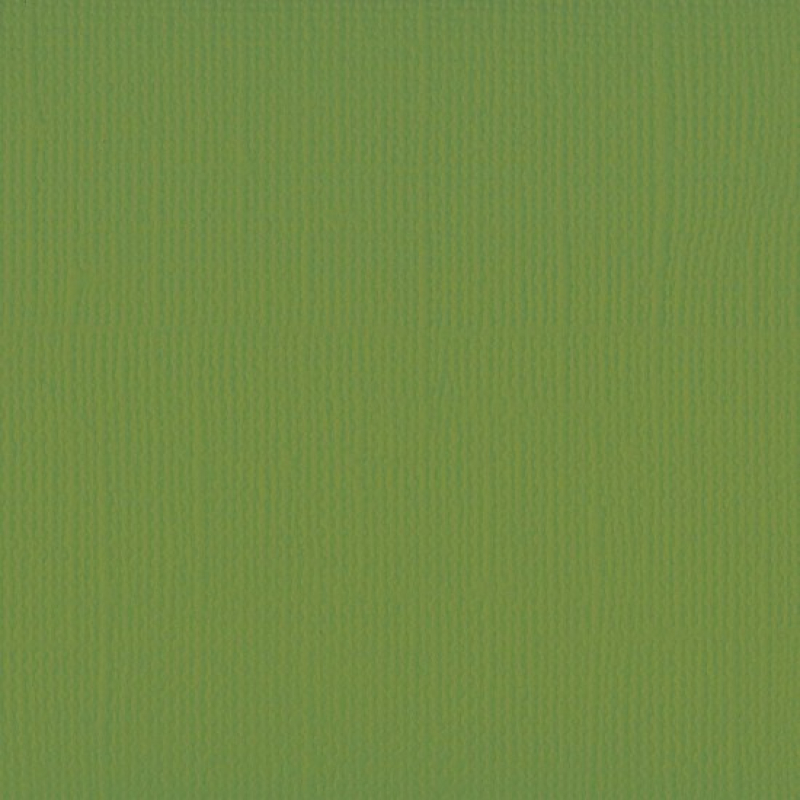 Florence Cardstock texture 30,5x30,5cm Olive (2928-073)