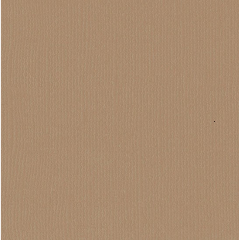 Florence  Cardstock texture 30,5x30,5cm Peanut (2928-088)