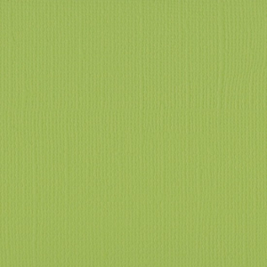Florence  Cardstock texture 30,5x30,5cm Pistachio (2928-070)