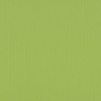 Florence  Cardstock texture 30,5x30,5cm Pistachio (2928-070)