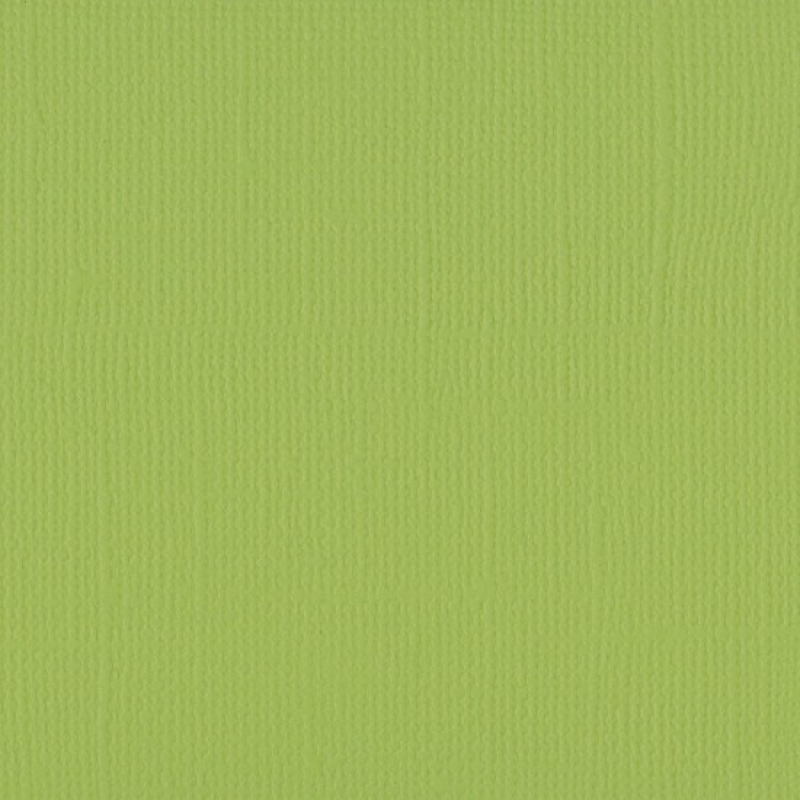 Florence  Cardstock texture 30,5x30,5cm Pistachio (2928-070)