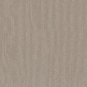 Florence  Cardstock texture 30,5x30,5cm Stone (2928-086)
