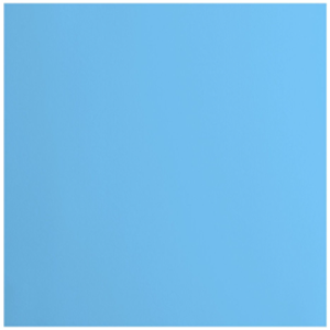 Florence  Cardstock Papier 216g Glad 30,5x30,5cm River (2926-048)  per stuk