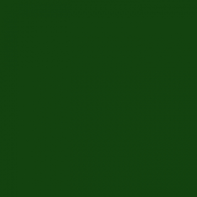 Gimme5 - BF 780A - forest green (gimme)