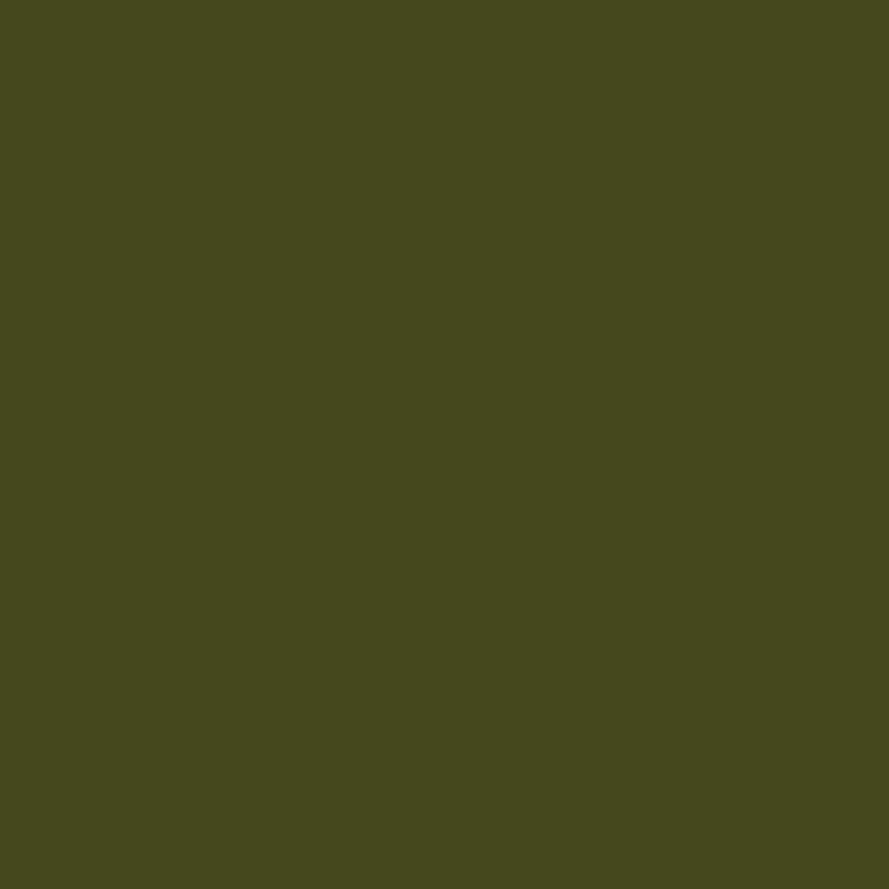 B-Flex Gimme5 - olive green (BF 781A)