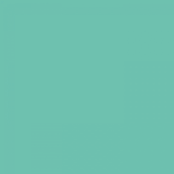 Gimme5 - BF 788A - mint green (gimme)