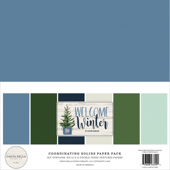 Carta Bella Welcome Winter 12x12 Inch Coordinating Solids Paper Pack (CBWW142015)
