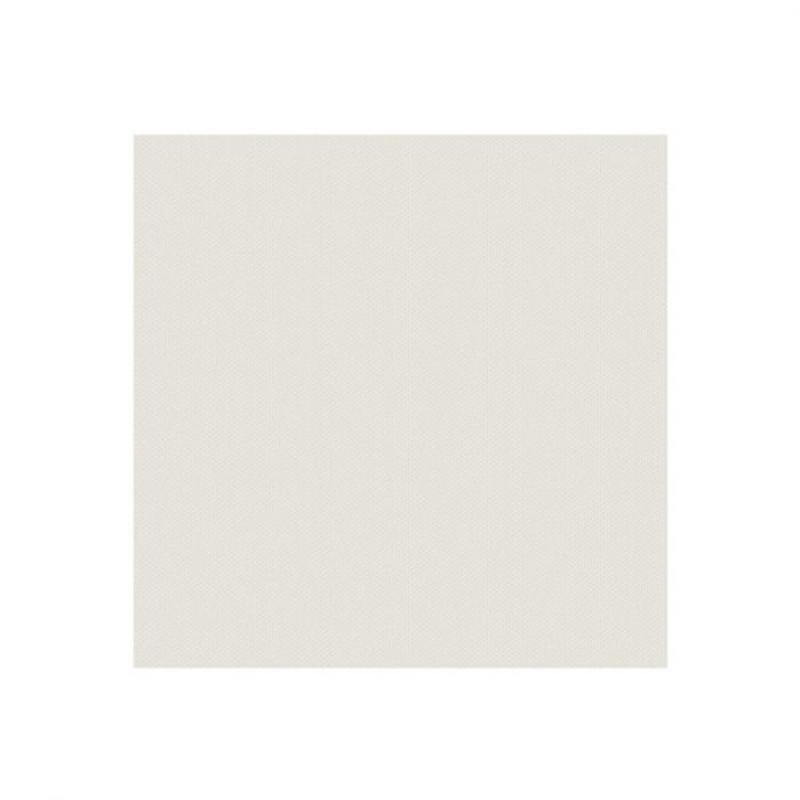 We R Makers Winter frost 30,5x30,5cm textured cardstock snow ) per blad (S61779-2