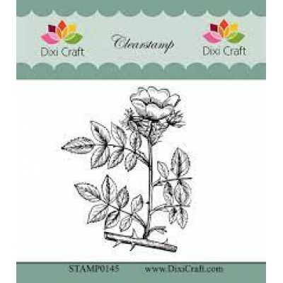 Dixi Craft Clearstamp Stamp0145