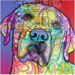 Stamplistic Starry Lab Cling Stamp (L190427) ( L190427)