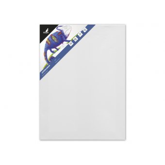 Kangaro Schildersdoek 30x40cm (K-810051)