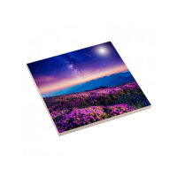 Sublimatie - Tegel 15x15cm (Tegel15x15)