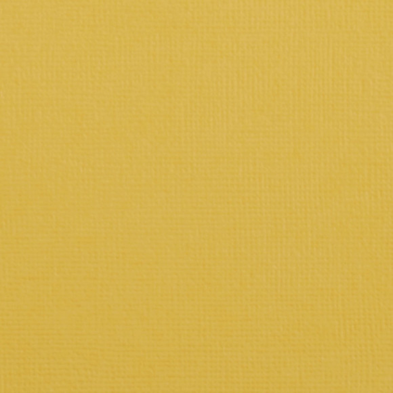 Florence  Cardstock Papier 216g Glad 30,5x30,5cm Bee (2926-009)  per stuk