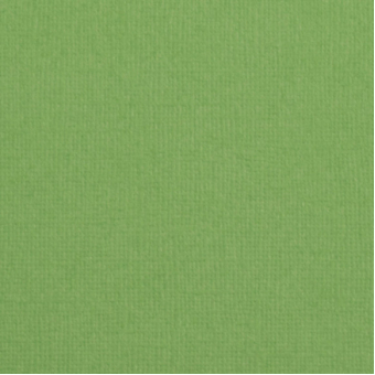 Florence  Cardstock texture 30,5x30,5cm Moss (2928-075)