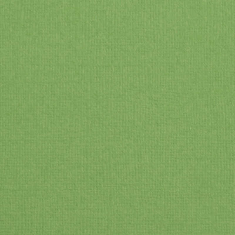 Florence  Cardstock texture 30,5x30,5cm Moss (2928-075)