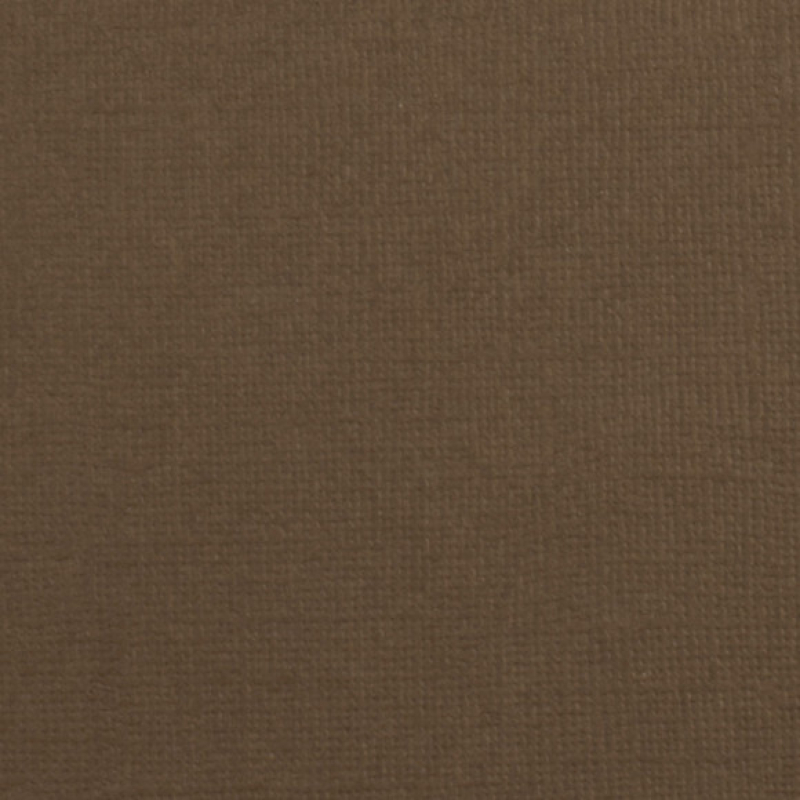 Florence  Cardstock texture 30,5x30,5cm Hazelnut (2928-093)