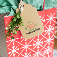 Silhouette Mint Custom Stamp Maker (SILHOUETTE-MINT)