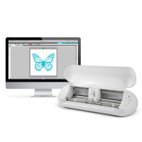 Silhouette Portrait (Silhouette Portrait)