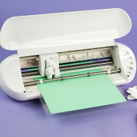 Silhouette Portrait (Silhouette Portrait)