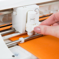 Silhouette Portrait (Silhouette Portrait)