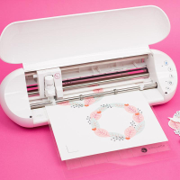 Silhouette Portrait (Silhouette Portrait)