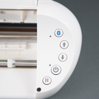 Silhouette Portrait (Silhouette Portrait)