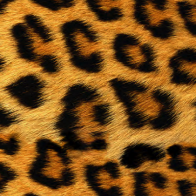 Easy Patterns - Wild Leopard