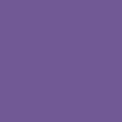 P.S. Electric - E0015 - purple