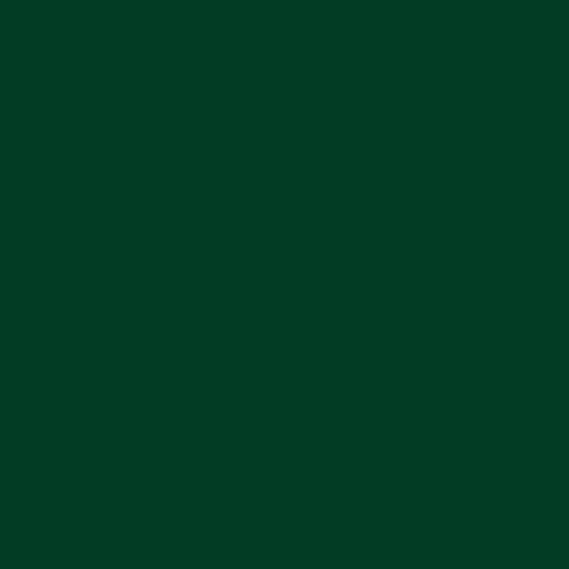 Siser P.S. Film - dark green (A0010)