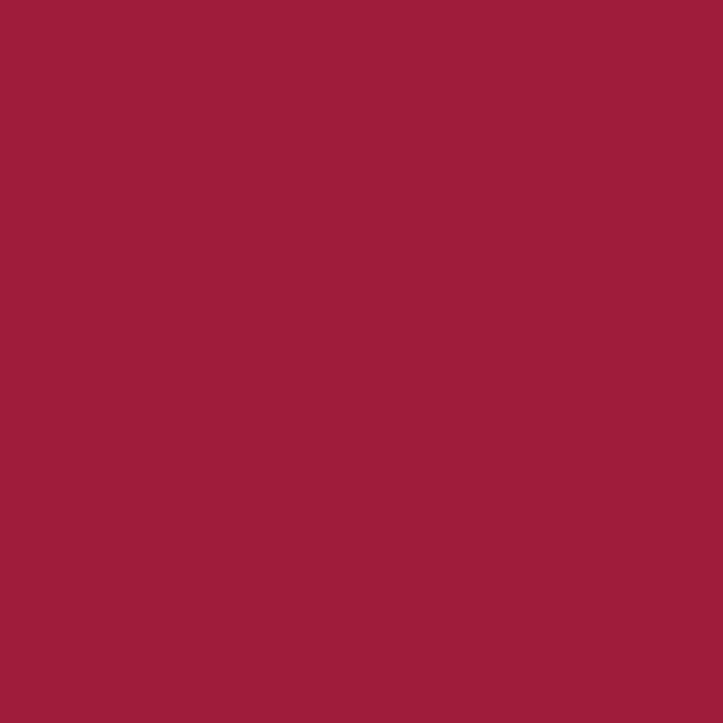 Siser P.S. Film - burgundy (A0016)