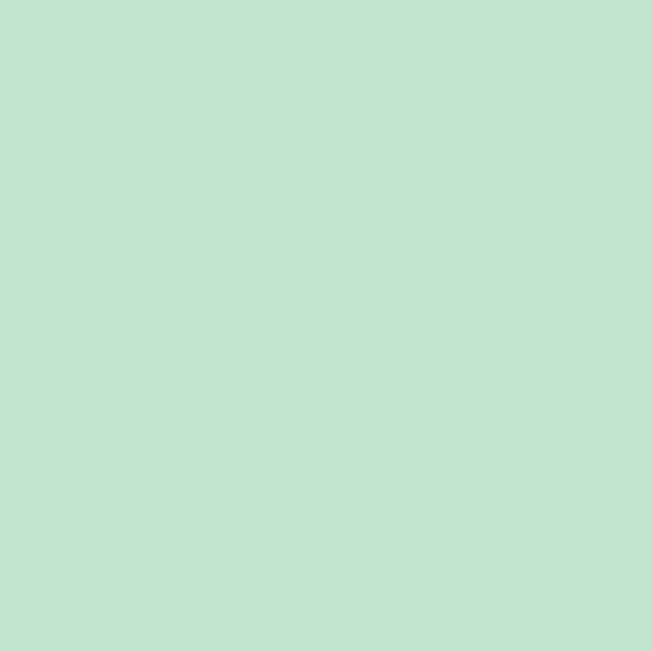 Siser P.S. Film - mint (A0068)