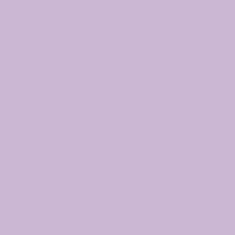 P.S. Stretch - ST0059 - lilac OP=OP (stretch)