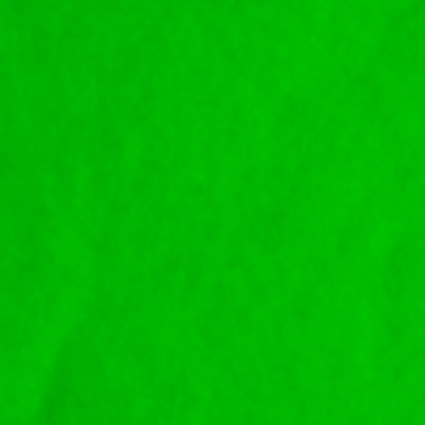 StripFlock Pro - S0026 - green fluo (stripflock)