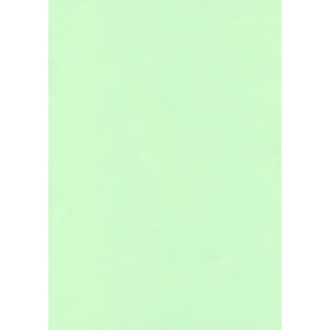 Vellum Perkament papier A4 150 grams Zacht Groen per stuk (papier/150vellumZachtgroen)