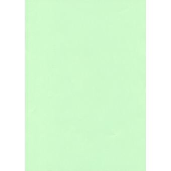 Vellum Perkament papier A4 150 grams Zacht Groen per stuk (papier/150vellumZachtgroen)