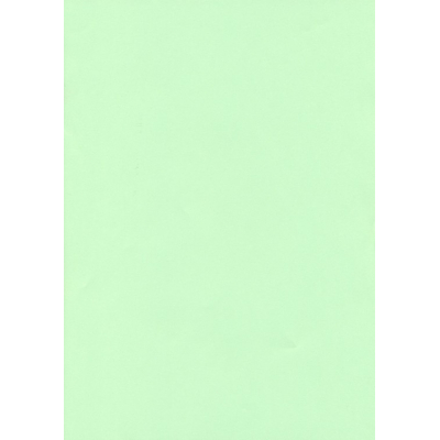 Vellum Perkament papier A4 150 grams Zacht Groen per stuk (papier/150vellumZachtgroen)