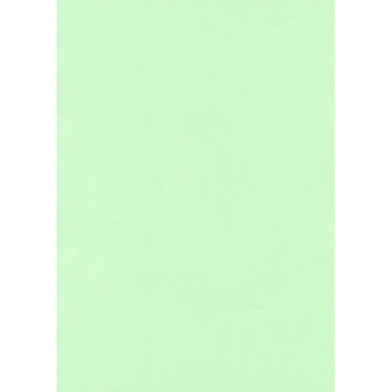 Vellum Perkament papier A4 150 grams Zacht Groen per stuk (papier/150vellumZachtgroen)