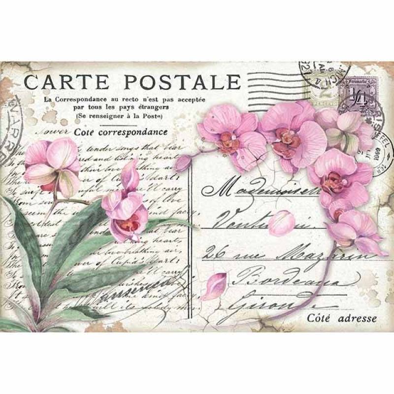 Stamperia Rice Paper 48x33 Pink Orchid (DFS415)