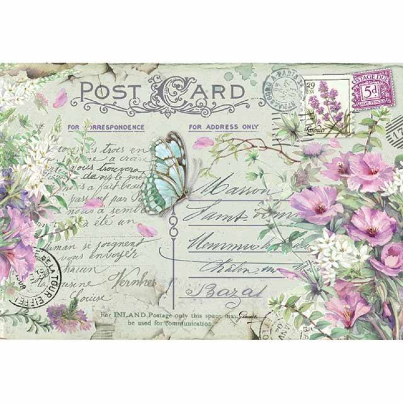 Stamperia Rice Paper 48x33 Violets & Butterfly ( DFS417)