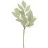 Rico-Design Laurel artificial branch pastel green 26cm (700558)