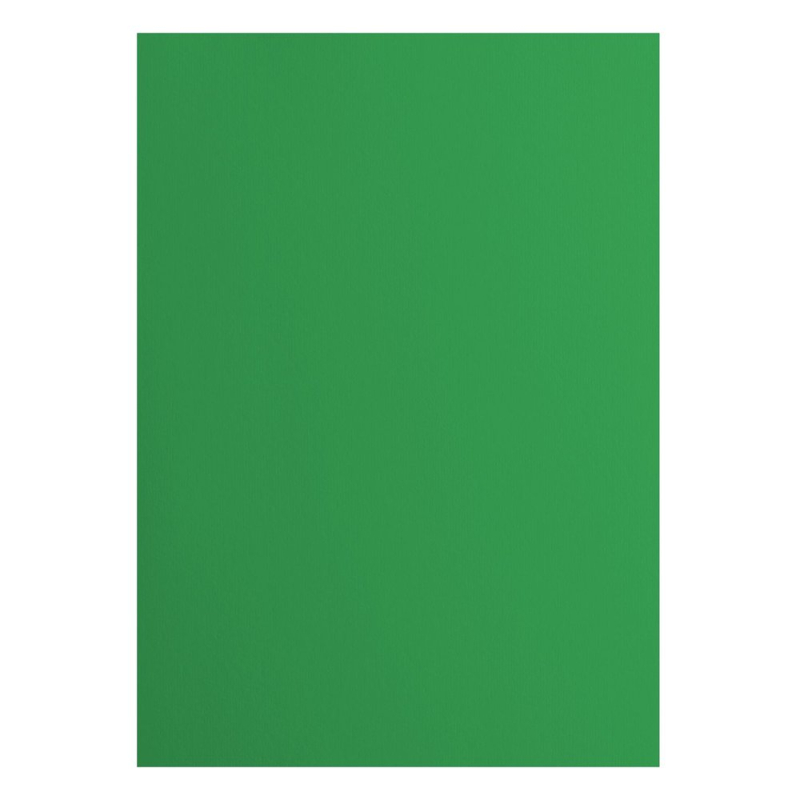 Florence Cardstock smooth A4 Holly 10x (2927-076)