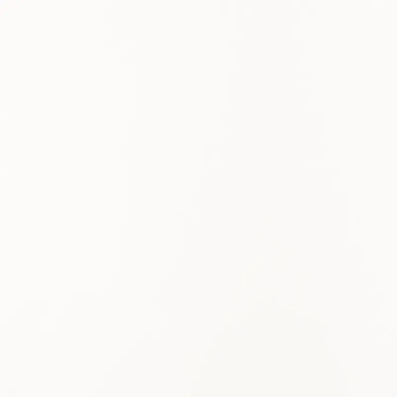 Florence • Cardstock texture A4 Ivoor 100x (2931-201)