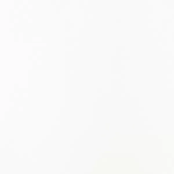 Florence • Cardstock texture A4 Ivoor 100x (2931-201)