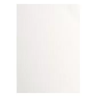 Florence  Cardstock Papier 216g Textuur A4 Off-White 10x (2928-101A4)