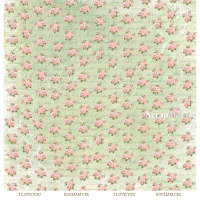 Scrapboys Victorian Home losse bladen (VIHO-05)