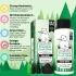 Bearly Art Precision Craft Glue - THE MINI 2 fl oz + Tip Kit (PCG02E)